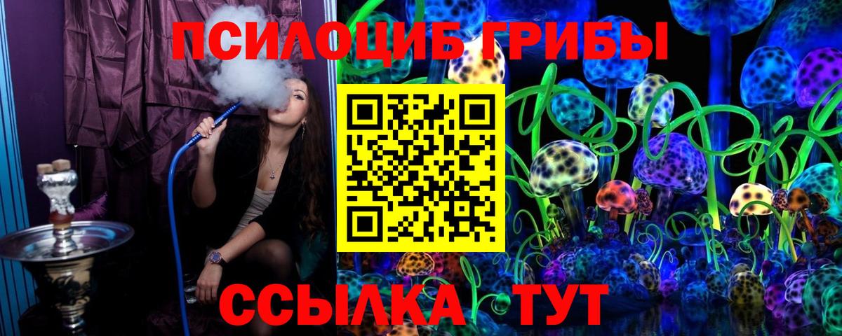 Благодарный  наркошоп  Вход с VPN  Псилоцибиновые грибы Cubensis 