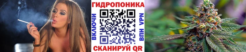 закладка  omg зеркало  МАРИХУАНА OG Kush  Благодарный 